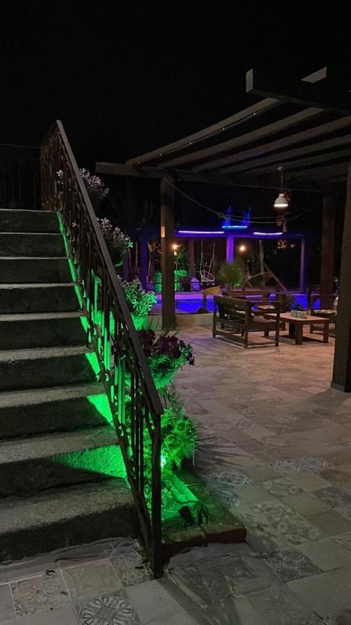 Garden Place Alojamento Local Висеу Екстериор снимка